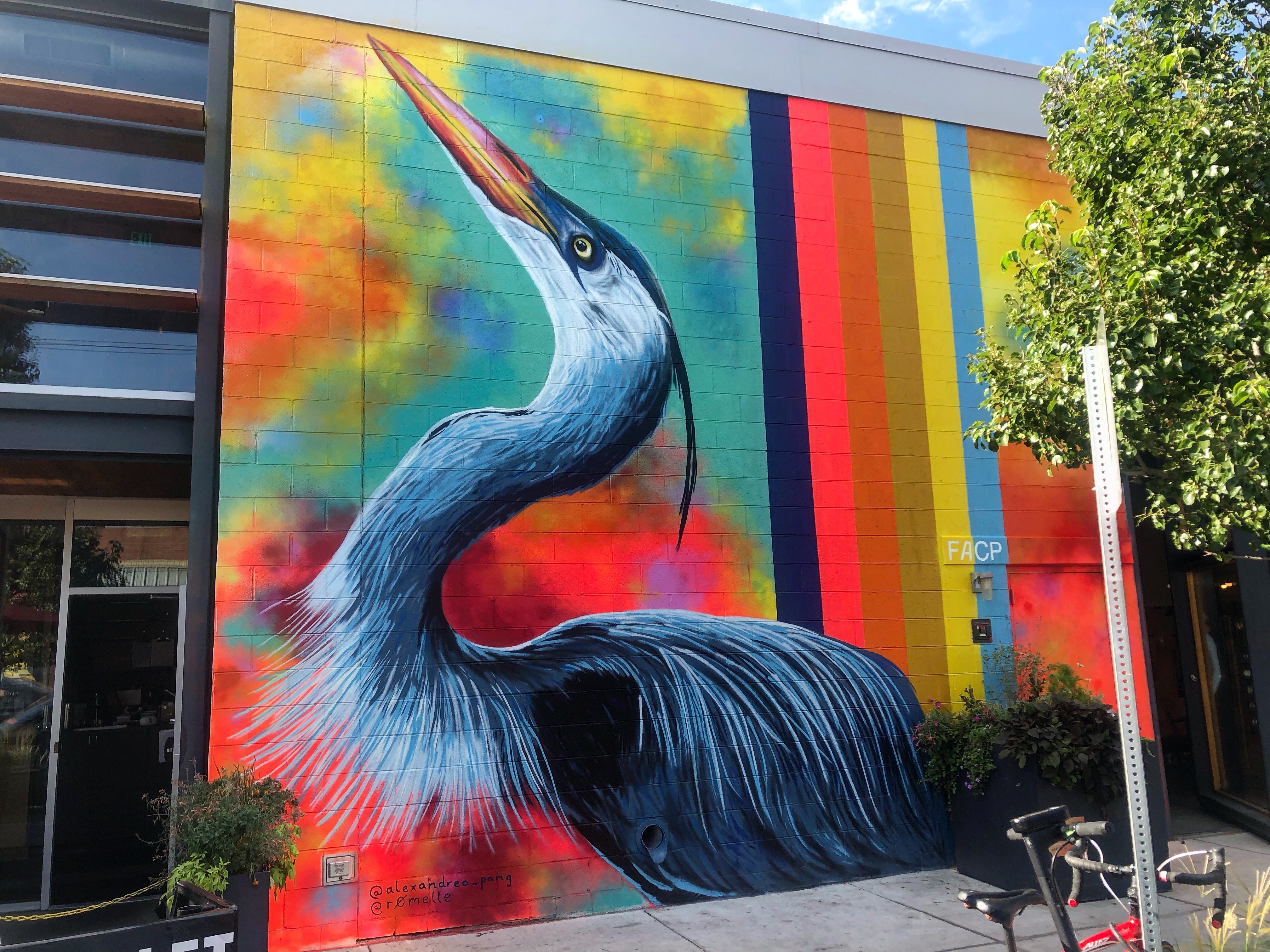Colorful wall art with large bird looking up surrounded by many vibrant colors