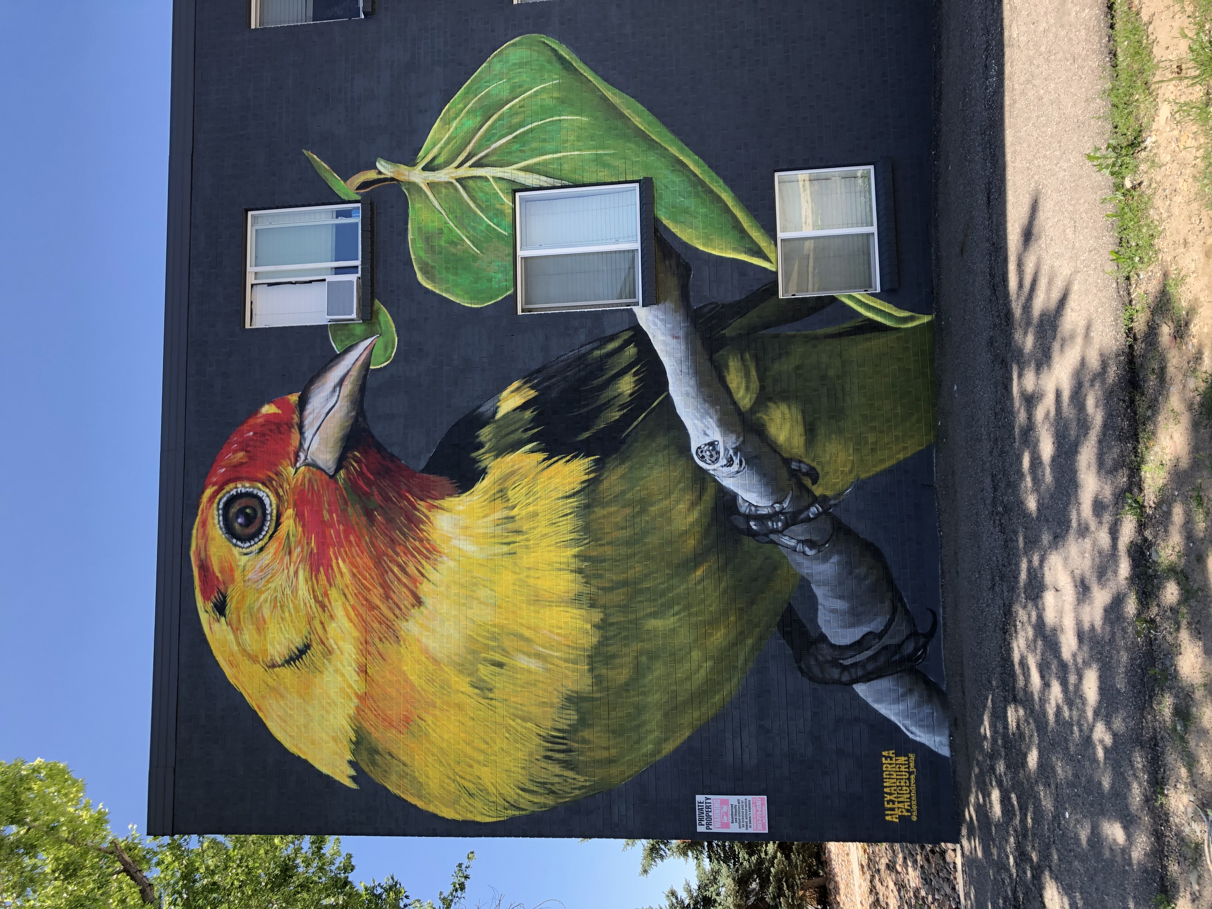 Wall art of yellow, orange, red, and green colored bird perched on a tree brand holding a green leaf in its beak