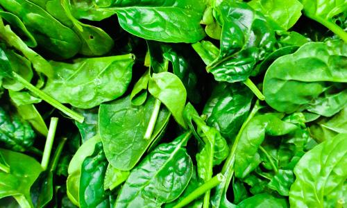 A very saturated and bright image of spinach leaves.