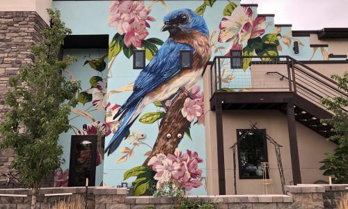 Colorful wall art with blue bird perched on wall surrounded by pink flowers